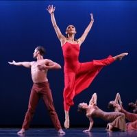 Martha Graham Dance Company To Present GRAHAMDECONSTRUCTED: DIVERSION OF ANGELS…