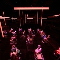 BLINDNESS to End its Run at the Daryl Roth Theatre on July 25