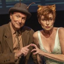Photos: First Look at the World Premiere of THE SECRET WORLD OF ARCHY & MEHITABEL