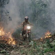 Ashland Independent Film Festival Runs Now Through April 10th