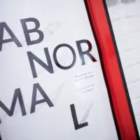 Photo Flash: Inside Opening Night Of ABNORMAL At Theatre Row, NYC