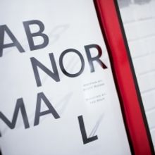Photo Flash: Inside Opening Night Of ABNORMAL At Theatre Row, NYC
