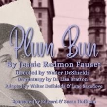 EgoPo To Present World Premiere Performances of Harlem Renaissance Novel PLUM BUN Thi