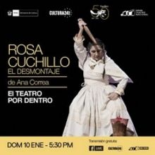 Gran Teatro Nacional Postpones ROSA CUCHILLO, EL DESMONTAJE