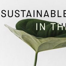 Cut the Cord Holds Panel About Sustainable Leadership in the Arts