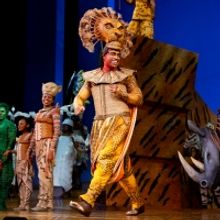 Photos: Go Inside the Curtain Call for THE LION KING's Return to Broadway