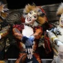 CATS Comes to Theater 11 Zurich