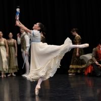 Photos: First Look At Northern Ballet's THE NUTCRACKER Interview