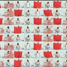 National Indo-American Museum's Inaugural Exhibition At The Umang And Paragi Patel Ce