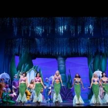 Photos: First Look at the Lexington Theatre Company's DISNEY'S THE LITTLE MERMAID