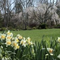LongHouse Reserve Will Open For 2023 Season