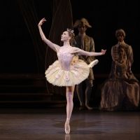New York City Ballet Announces Principal Dancer Promotions