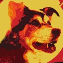 SPACE DOGS Records Final Two Performances