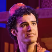 Photo Flash: Be Proud of Your Boy with All New Photos of ALADDIN On Tour