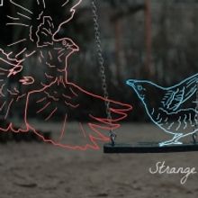 Grapefruit Lab's STRANGE BIRD QUEER BIRD Opens April 7