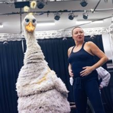 Photos: In Rehearsal For Hackney Empire's Christmas Pantomime MOTHER GOOSE