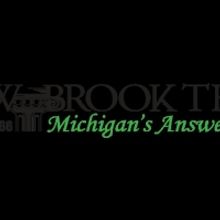 Meadow Brook Theatre Looking Towards The Future