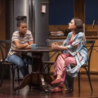 Photo Flash: Writer's Theatre Presents Lydia Diamond's STICK FLY