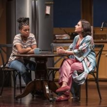 Photo Flash: Writer's Theatre Presents Lydia Diamond's STICK FLY