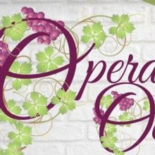 Maryland Opera Announces Two Outdoor Concerts as part of the OPERA IN OCTOBER Series