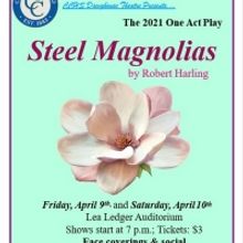 STEEL MAGNOLIAS Comes to CCHS Dawghouse Theatre Tonight
