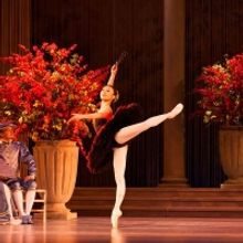 Teatr Wielki - Opera Narodowa Presents Online Ballet Gala