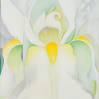 Norton Museum to Showcase Private Collections Featuring Work By Picasso, Rembrandt…