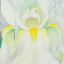 Norton Museum to Showcase Private Collections Featuring Work By Picasso, Rembrandt, a