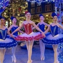 Nearly 100 Costumes Stolen From San Jose Dance Theatre