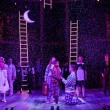 Photos: First Look at BEAUTY AND THE BEAST at Rose Theatre Kingston