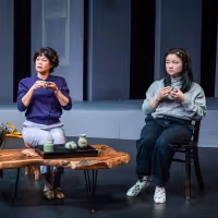 Photos: First Look at MEMORIAL at Pan Asian Repertory