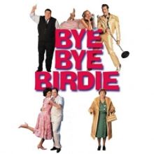 BYE BYE BIRDIE Film Starring Jason Alexander and Vanessa Williams is Now Available to