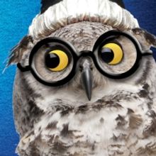 POTTED POTTER Comes to MPAC's Wilson Theater at Vogel Hall Next Month