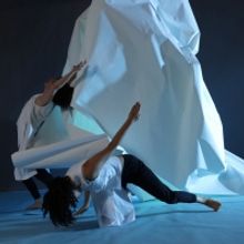 Photos: Laura Peterson's INTERGLACIAL Captures An Interval Of Uncertainty With Real-T