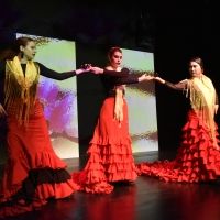 Photo Flash: 8th Annual Spring Flamenco Festival at Teatra Paraguas
