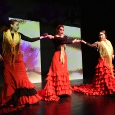 Photo Flash: 8th Annual Spring Flamenco Festival at Teatra Paraguas