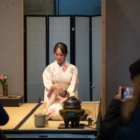 Welcome Spring and Honor The Renewal Of Life At The Seattle Cherry Blossom &…