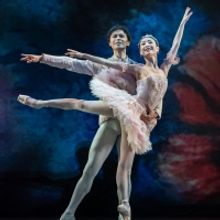 Photo Flash: Check Out Birmingham Royal Ballet's NUTCRACKER AT THE REP