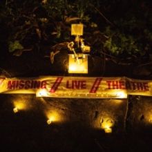  SIGNAL FIRES Book is On Sale Now