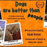 Whitefire Theatre's Solofest Streams DOGS ARE BETTER THAN PEOPLE