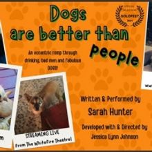 Whitefire Theatre's Solofest Streams DOGS ARE BETTER THAN PEOPLE