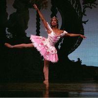 Houston Ballet Announces Lauren Anderson Young Dancer Scholarship Fund