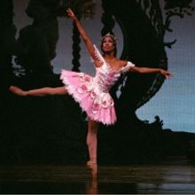 Houston Ballet Announces Lauren Anderson Young Dancer Scholarship Fund