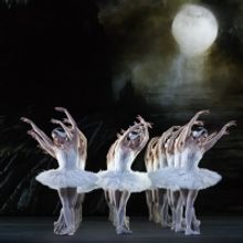 The Royal Ballet's SWAN LAKE Will Be Broadcast Live To Over 750 Cinemas Across The Gl Interview