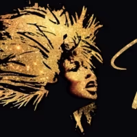 Tickets Go On Sale For TINA - THE TINA TURNER MUSICAL at PPAC This Week