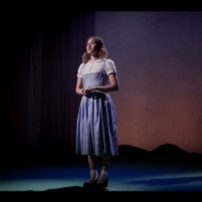 Photos: Sara Crowe, Nicole Evans, Shobna Gulati &amp; More Star in World Premiere of GOING THE DISTANCE