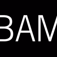 Brooklyn Academy Of Music Announces Postponement Of Additional Live Events
