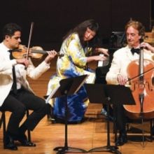 Four Internationally Acclaimed Classical and Jazz Musical Artists Make  Maui Debuts