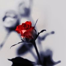 ROMEO & JULIET Comes to Hong Kong Phil This Month