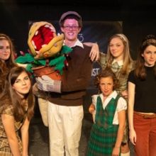 Sol Children Theatre's LITTLE SHOP OF HORRORS Opens October 4